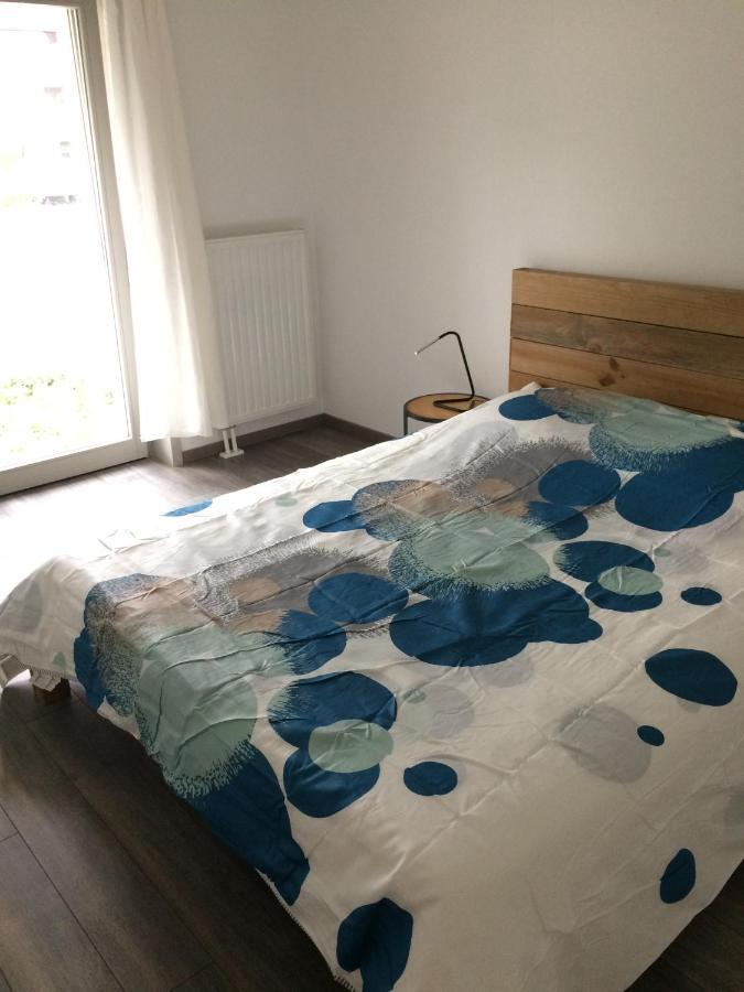 F2 Cote Ugc Climatise Plein Centre Parking Gratuit Apartment สตราสบูร์ก ภายนอก รูปภาพ
