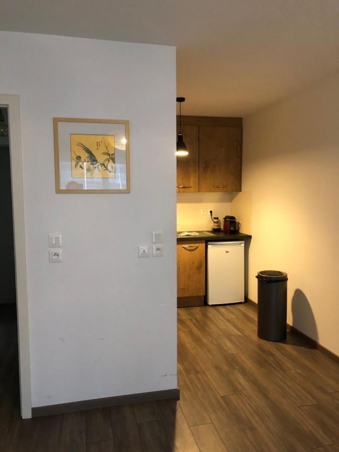 F2 Cote Ugc Climatise Plein Centre Parking Gratuit Apartment สตราสบูร์ก ภายนอก รูปภาพ